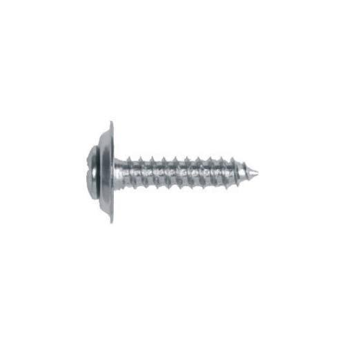 Auto Body Doctor ABD6312 Oval Head Trim Screw (Philips 10 Pc)